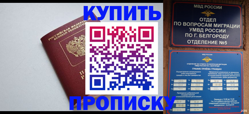 прописка регистрация в Балаково